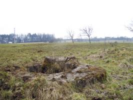Ligne Maginot - TRUBACH - (Cuve pour arme d'infanterie) - 