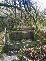 Ligne Maginot - BV21 - (Chambre de coupure) - La chambre de coupure BV21.
Cachée dans la végétation.
