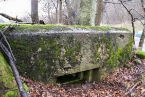Ligne Maginot - GALGENBERG OUEST - (Blockhaus pour arme infanterie) - Vue d'ensemble