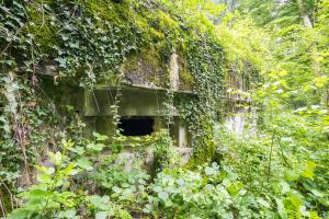 Ligne Maginot - 100 - WILLERBACH - (Casemate d'infanterie) - Les créneaux