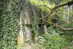 Ligne Maginot - 101 - TIEFENBACH NORD - (Casemate d'infanterie - double) - Les créneaux 