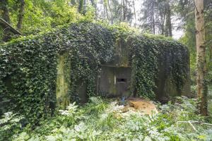 Ligne Maginot - 101 - TIEFENBACH NORD - (Casemate d'infanterie - double) - Le créneau qui flanque vers la casemate de Willerbach