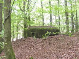 Ligne Maginot - HASPELSCHIEDT 4 (AVANT POSTE) - (Blockhaus pour arme infanterie) - Vue générale