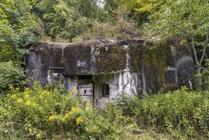 Ligne Maginot - LEGERET - (Abri) - Le coffre d'entrée Est qui disparaît sous la végétation.