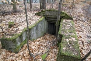 Ligne Maginot - PFAFFENBERG SUD - (Position d'artillerie préparée) - Abri à 2 entrées