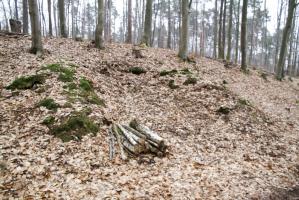 Ligne Maginot - PFAFFENBERG SUD - (Position d'artillerie préparée) - Les emplacements des pièces