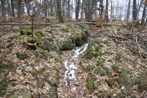 Ligne Maginot - PFAFFENBERG SUD - (Position d'artillerie préparée) - A proximité, de nombreuses traces de cagnas et tranchées