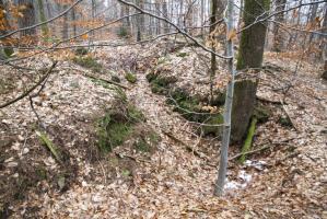Ligne Maginot - PFAFFENBERG SUD - (Position d'artillerie préparée) - A proximité, de nombreuses traces de cagnas et tranchées