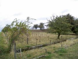 Ligne Maginot - Ouvrage d'infanterie du HAUT POIRIER - 