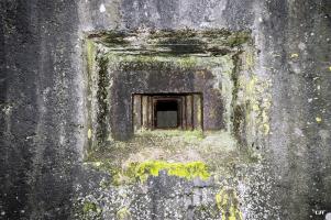 Ligne Maginot - B378 - BOIS MONTOIR (PDS) - (Abri actif) - Trémie type Condé