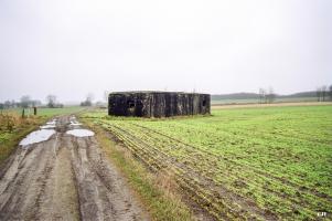 Ligne Maginot - B378 - BOIS MONTOIR (PDS) - (Abri actif) - Vue coté droit