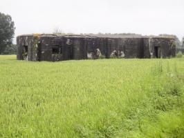 Ligne Maginot - B378 - BOIS MONTOIR (PDS) - (Abri actif) - Vue coté gauche