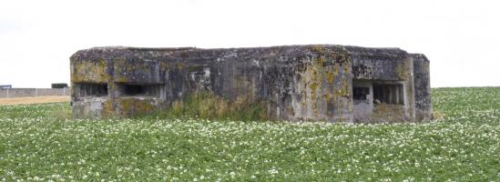 Ligne Maginot - A49 - GLYCINE - (Blockhaus lourd type STG / STG-FCR - Double) - Pris depuis le barrage de route des Godelins