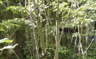 Ligne Maginot - A51 - CHAPELLE DE SAULTAIN - (Blockhaus lourd type STG / STG-FCR - Double) - 