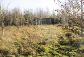 Ligne Maginot - A56 - LE LYS - (Blockhaus lourd type STG / STG-FCR - Double) - Ce blockhaus, situé à proximité d'un bosquet, est visible de la D 50a.