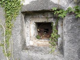 Ligne Maginot - B439 - FORT MASSY - (Blockhaus pour canon) - 