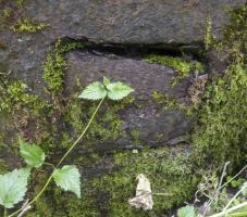 Ligne Maginot - DREVE SAINT ANTOINE - C6 - (Casemate d'infanterie - double) - Cloche JM convertie AM.
Vue extérieure de l'ouvreau d'observation gauche comblé et condamné.