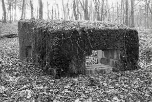 Ligne Maginot - CBO2 - (Blockhaus pour canon) - 