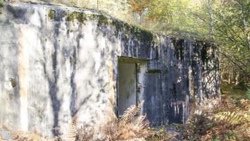 Ligne Maginot - HAUTE RIVE - C5 - (Casemate d'infanterie - double) - Non visitable