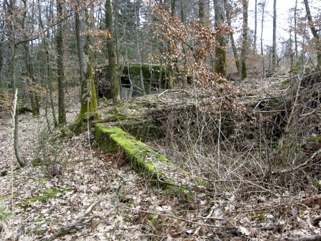 Ligne Maginot - HOLZSCHLAG 2 - (Cuve pour canon) - A l'arrière plan le blockhaus pour canon de 47 de marine