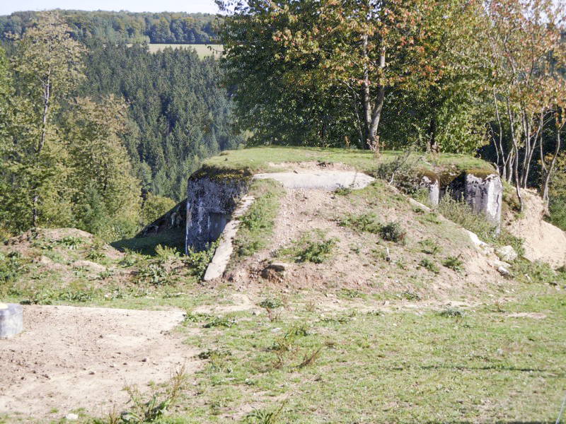 Ligne Maginot - JUDENHOF 3 - (Blockhaus pour arme infanterie) - Vue générale - JM57
