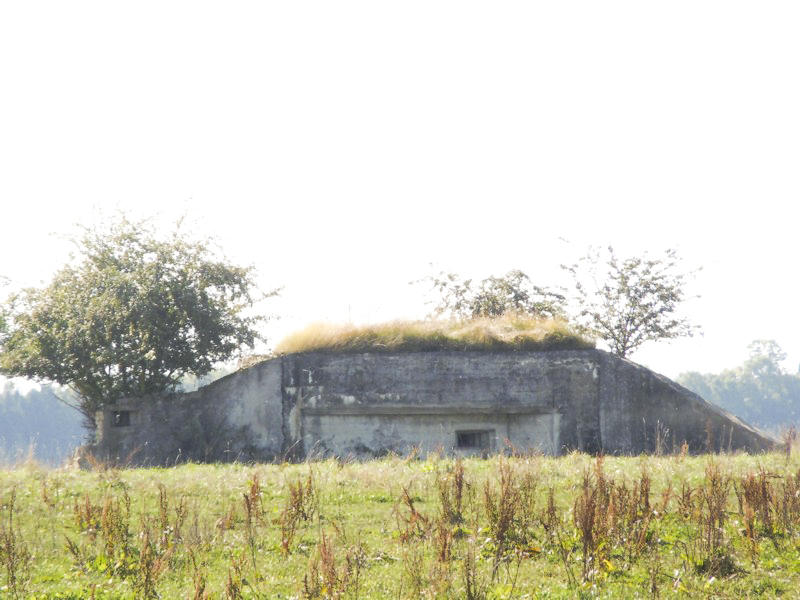 Ligne Maginot - JUDENHOF 1 (Blockhaus pour arme infanterie) - Vue générale