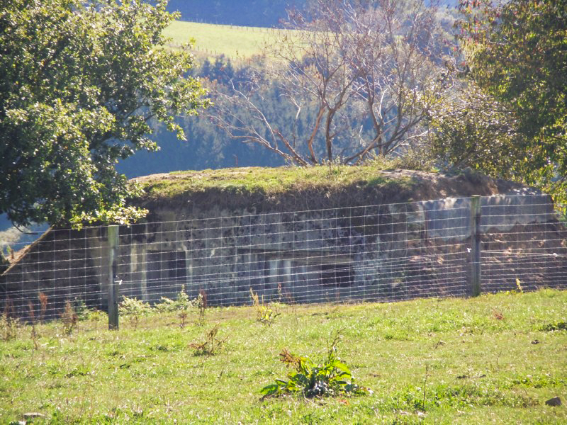Ligne Maginot - JUDENHOF 2 (Blockhaus pour canon) - Vue générale