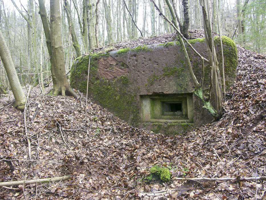 Ligne Maginot - KAPELLENHOFF 1 (AVANT POSTE) - (Blockhaus pour arme infanterie) - Vue de l'un des créneaux - Pascal LAMBERT