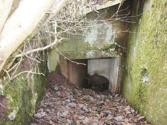 Ligne Maginot - KLAM 2 - (Blockhaus pour arme infanterie) -  - Christian LENHARD