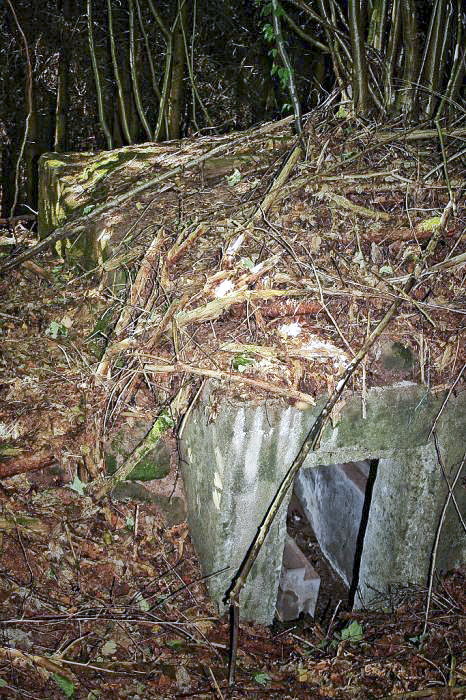 Ligne Maginot - KLAM 7 - (Blockhaus pour arme infanterie) -  - Eirock67