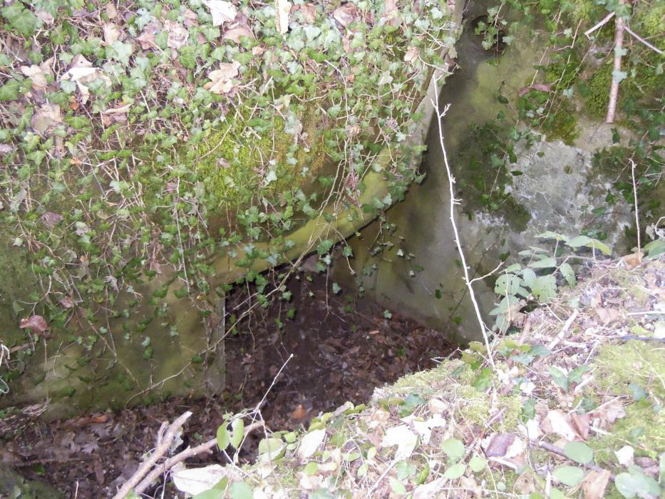 Ligne Maginot - LOHTHAL 2 - (Blockhaus pour canon) - Entrée - JM57