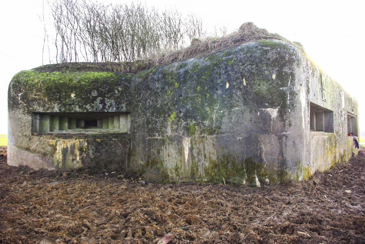 Ligne Maginot - MISSLINGEN 1 - (Blockhaus pour canon) - Blockhaus dégagé de toute sa végétation - JM57