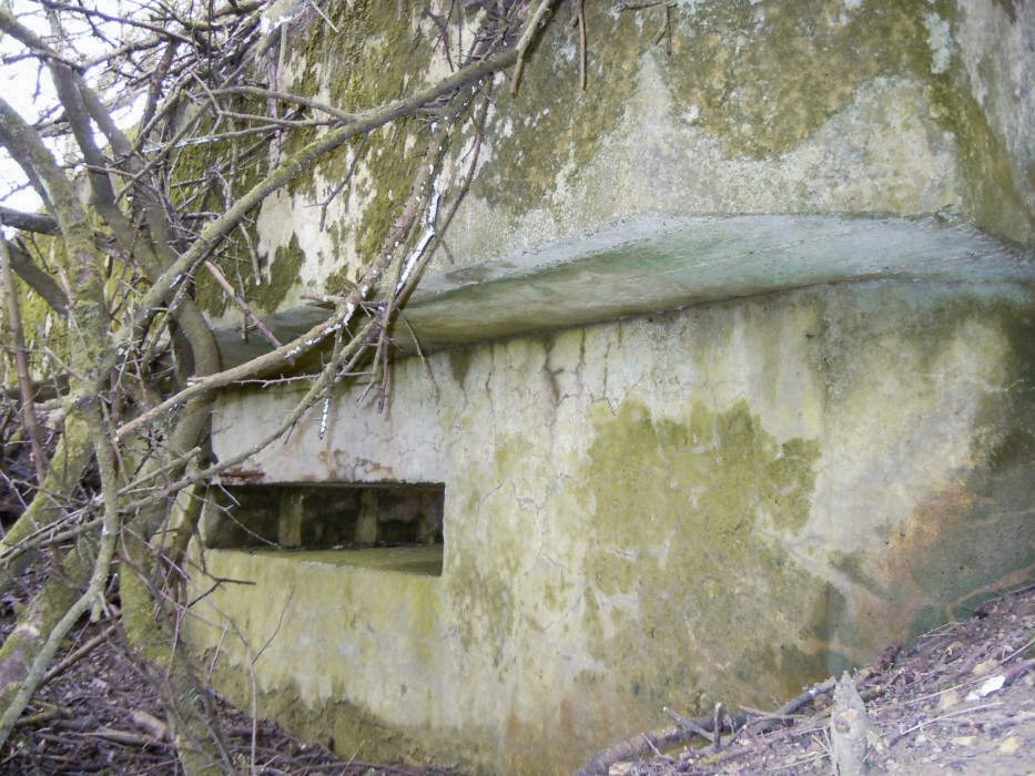 Ligne Maginot - MISSLINGEN 5 (Blockhaus pour arme infanterie) - Façade avant
Créneau mirailleuse