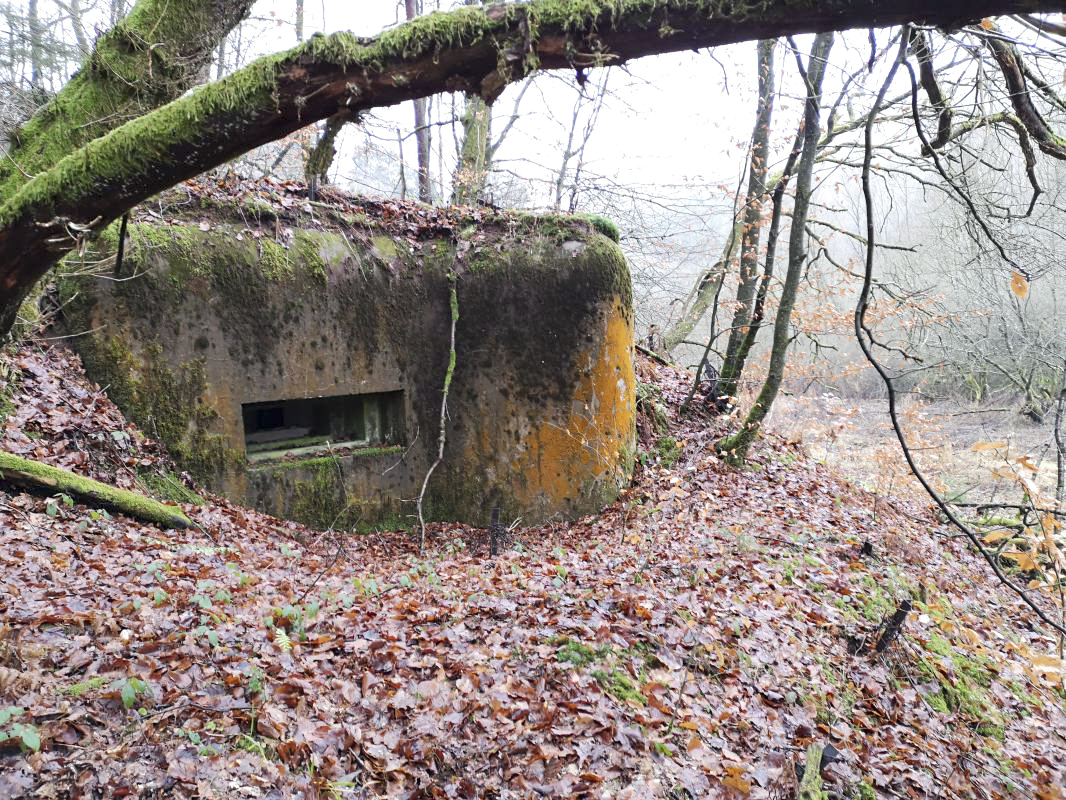 Ligne Maginot - RUISSEAU DU GROSSTHAL 2 - (Blockhaus pour arme infanterie) - 