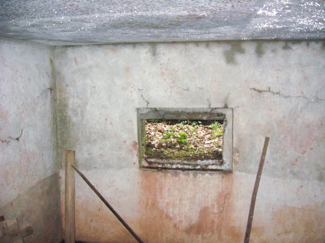 Ligne Maginot - SCHWANGERBACH 1 - (Blockhaus pour canon) - 