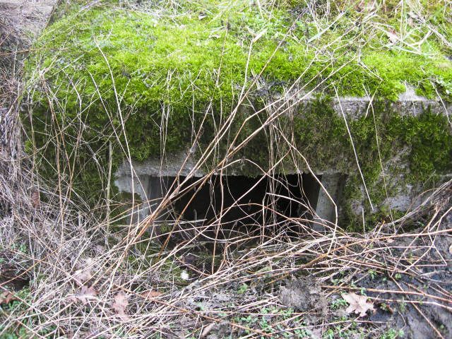 Ligne Maginot - SCHWANGERBACH 7 - (Blockhaus pour arme infanterie) - Façade de tir