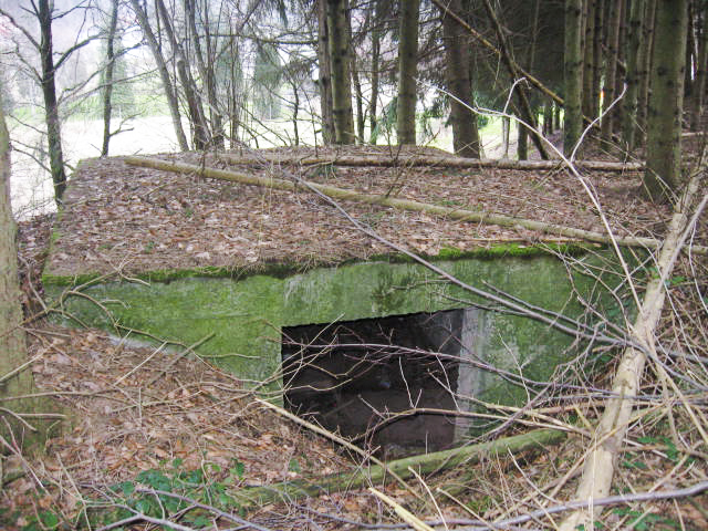 Ligne Maginot - SCHWANGERBACH 5 - (Blockhaus pour canon) - 