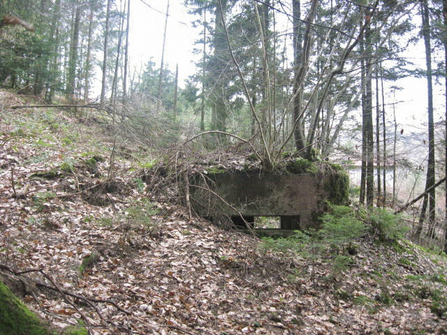 Ligne Maginot - SCHWANGERBACH 3 - (Blockhaus pour arme infanterie) - Vue générale