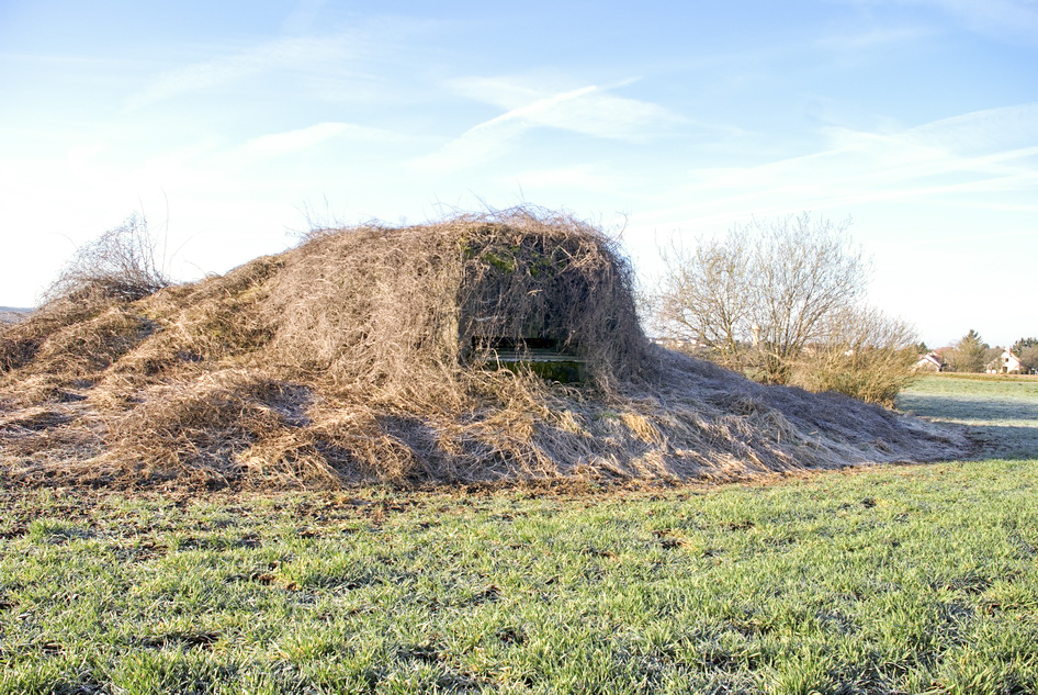 Ligne Maginot - SEELBERG (ROUTE DU ) - (Observatoire d'artillerie) - 