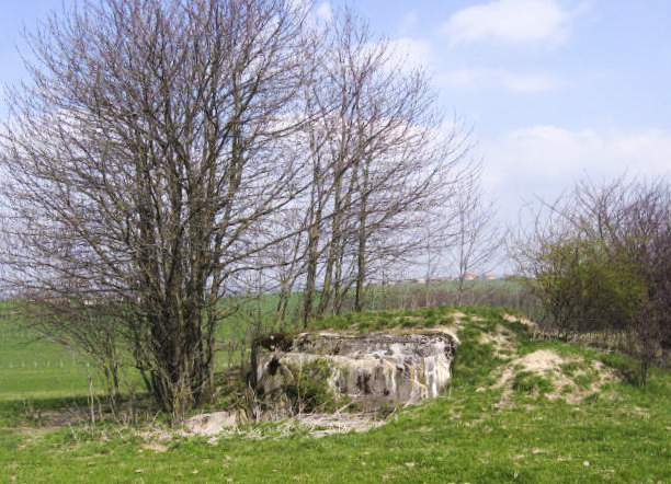 Ligne Maginot - SEELBERG 2 - (Blockhaus pour arme infanterie) - Facade arriere