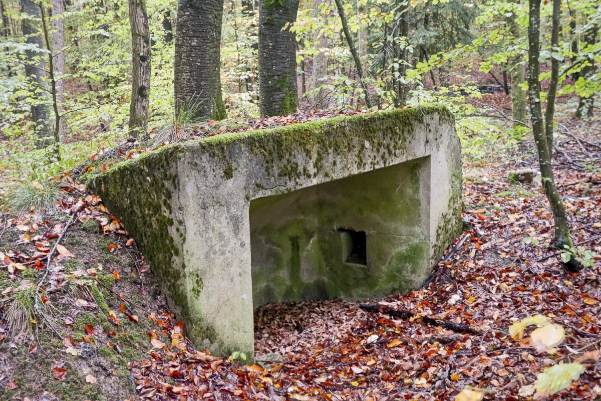 Ligne Maginot - SIMSERHOF EST 2 - (Blockhaus pour canon) - 