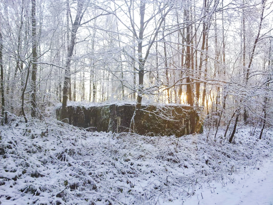 Ligne Maginot - SIMSERHOF OUEST 2 - (Blockhaus pour canon) - 