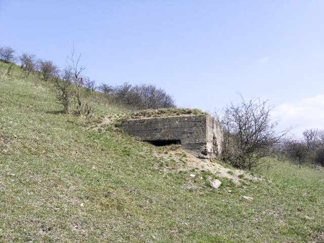 Ligne Maginot - TOTENBERG EST - (Blockhaus pour arme infanterie) - Vue générale - Christian LENHARD