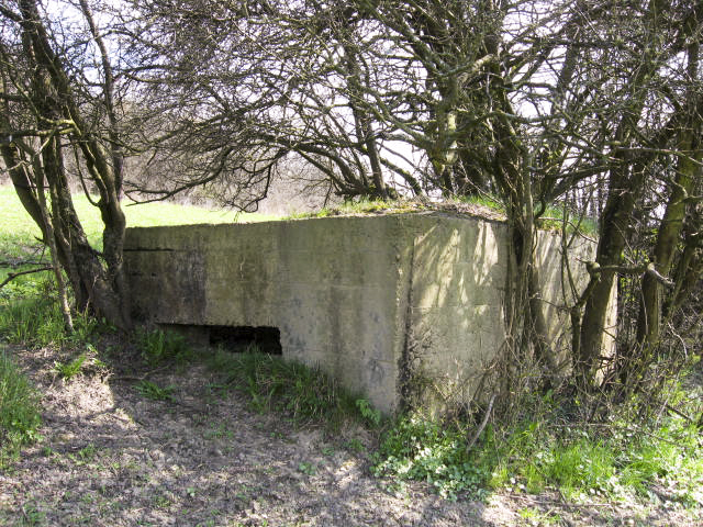 Ligne Maginot - TOTENBERG OUEST - (Blockhaus pour arme infanterie) - Façade de tir