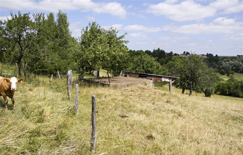 Ligne Maginot - TRUBACH OUEST - (Blockhaus pour canon) - 