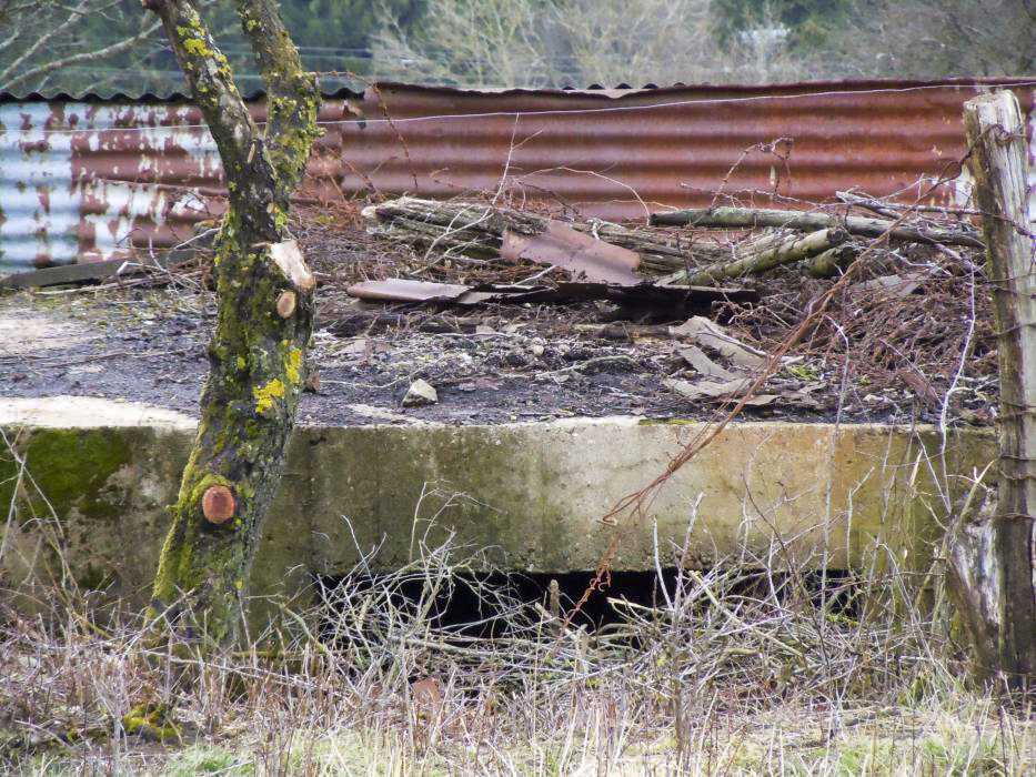Ligne Maginot - TRUBACH OUEST - (Blockhaus pour canon) - 