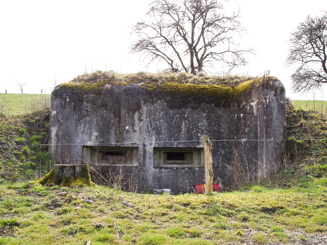 Ligne Maginot - TRUBACH EST - (Blockhaus pour arme infanterie) -  - Christian LENHARD