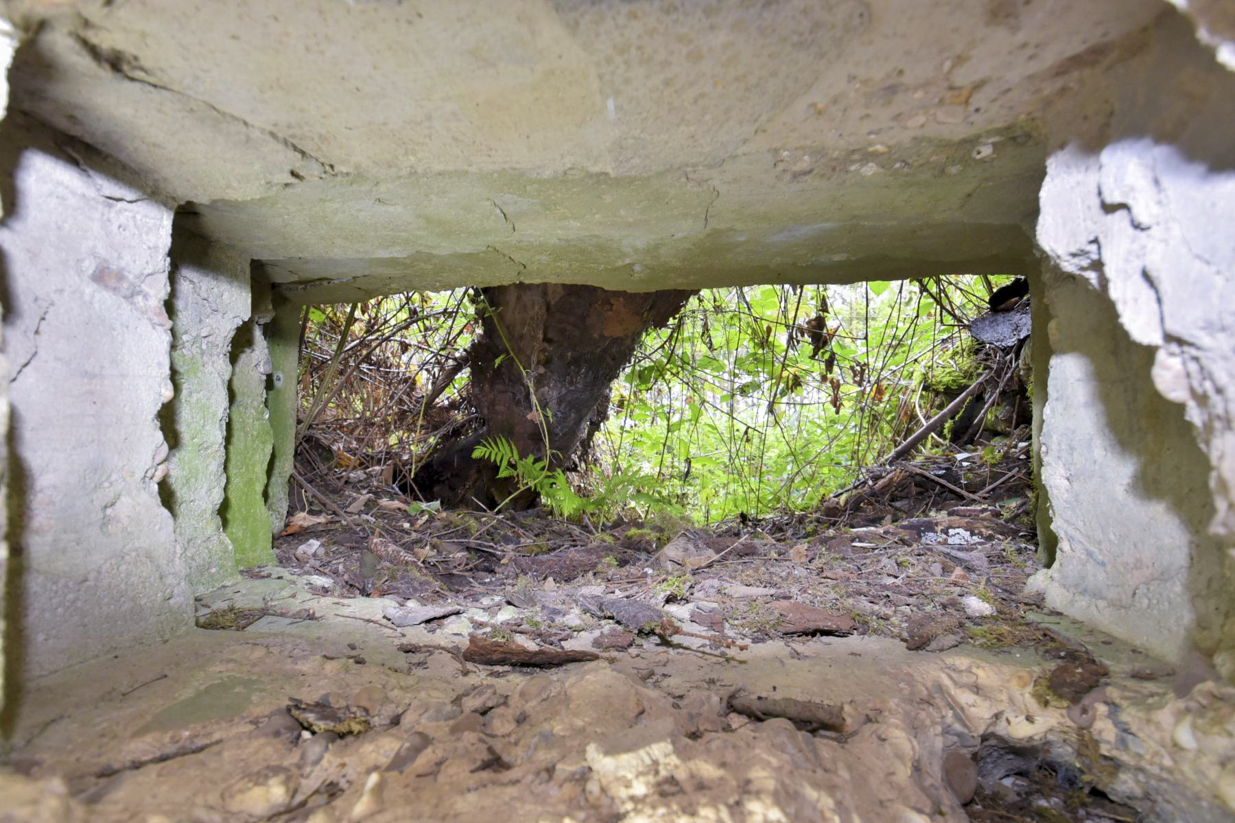 Ligne Maginot - WASENBERG 3 - (Blockhaus pour arme infanterie) -  - knapp ludovic