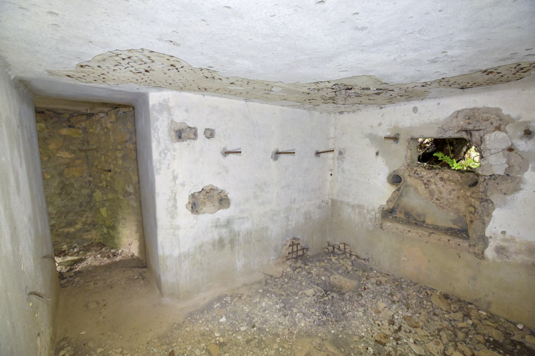 Ligne Maginot - WASENBERG 3 - (Blockhaus pour arme infanterie) -  - knapp ludovic