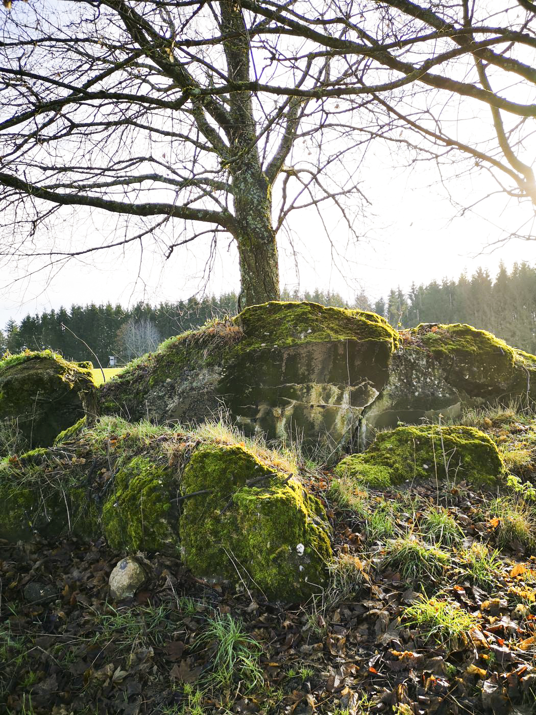 Ligne Maginot - WASENBERG - (Observatoire d'artillerie) - Les restes de l'observatoire, explosé par les allemands en 1944 - DK_Antoine4